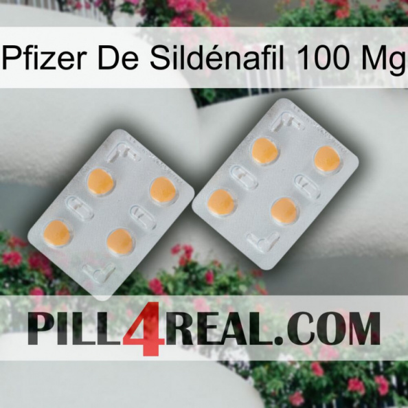 Pfizer De Sildénafil 100 Mg 25.jpg